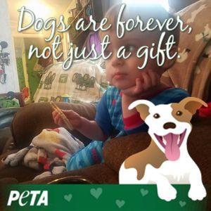 Meet your Posher, Jaime